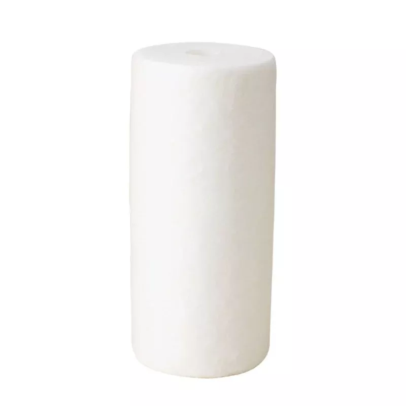 10" BB Dual Gradient Polypropylene Sediment Filter 60/10 mic