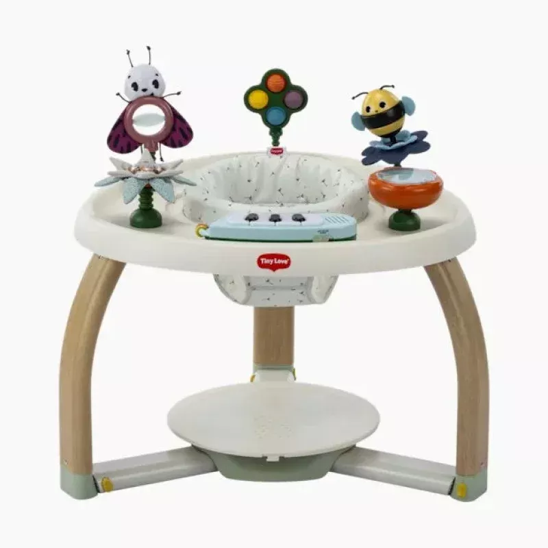 Activity Center - 5-in-1 Here I Grow - Tiny Bugs