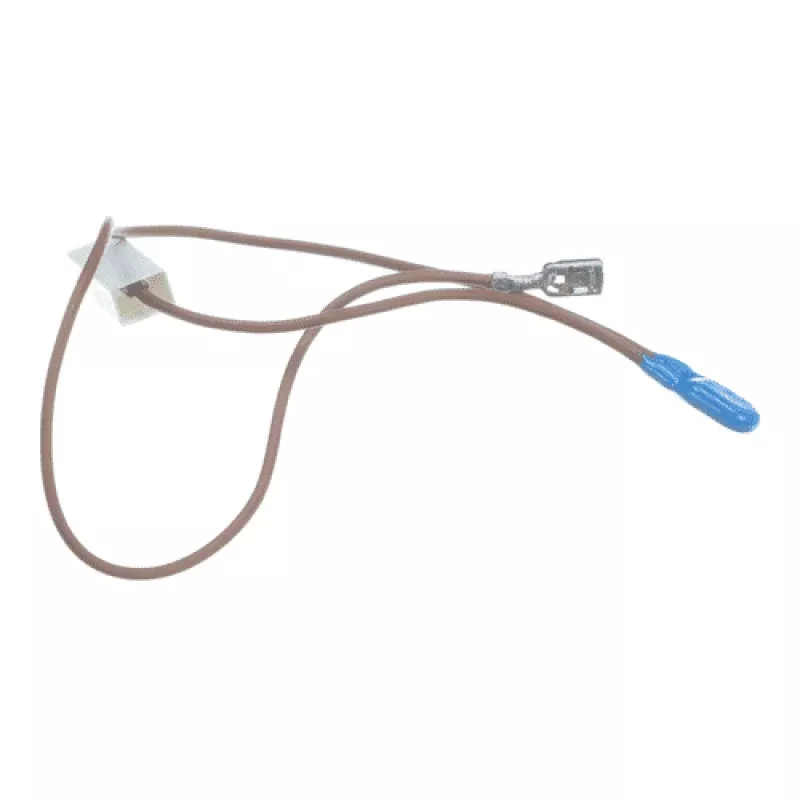 Delonghi Pump Protector - AS00005773