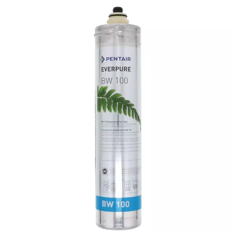 Everpure BW 100 EV9668-16 Filter Cartridge