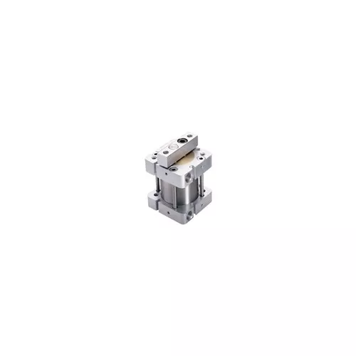 FST-170.25-LM Bimba Square Flat-2 Cylinder