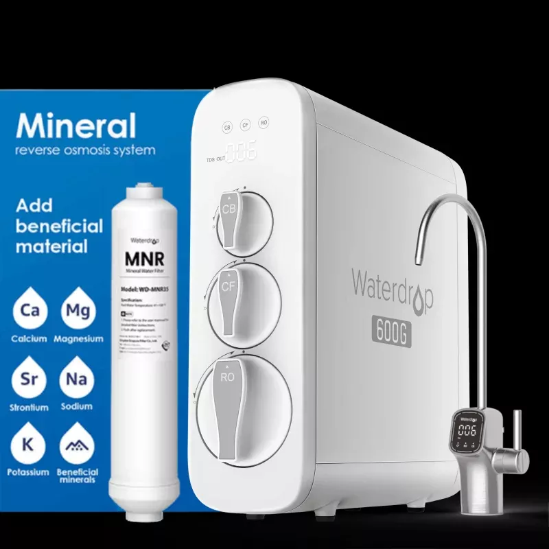 G3P600 with Remineralization Filter Bundle