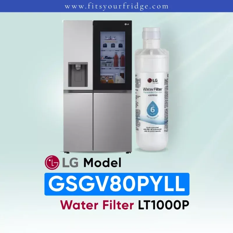 LG GSGV80PYLL Fridge Freezer Water Filter