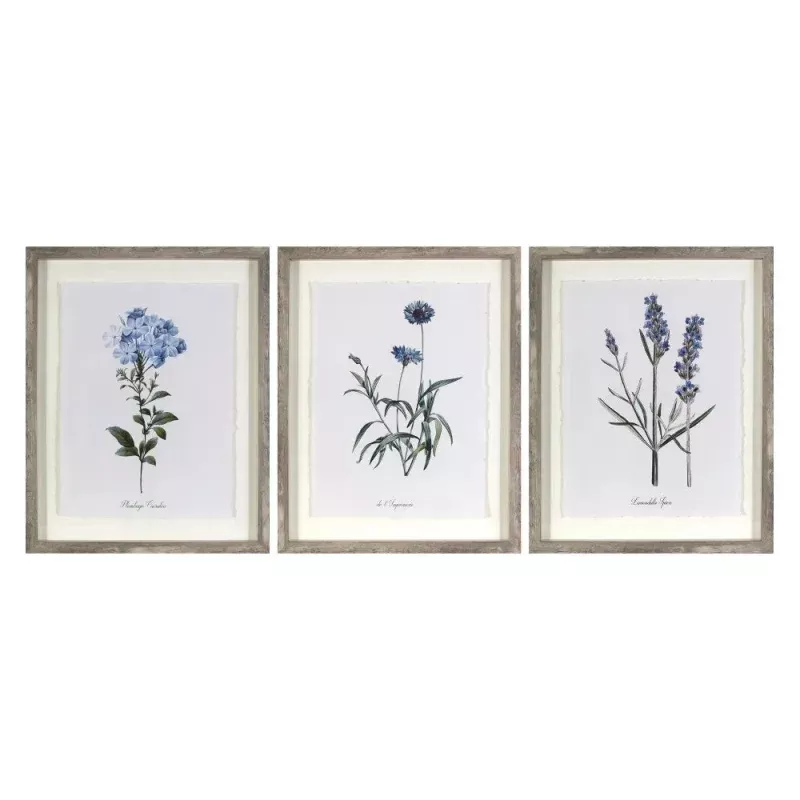 (Set of 3) 16"x20" Framed Vintage Botanicals Decorative Wall Art Natural/Blue
