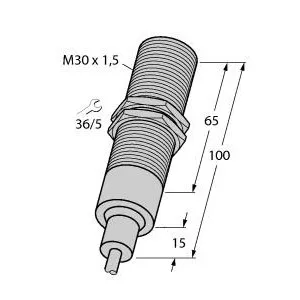 TURCK BI10-EM30-AP6/S907 Inductive Sensor