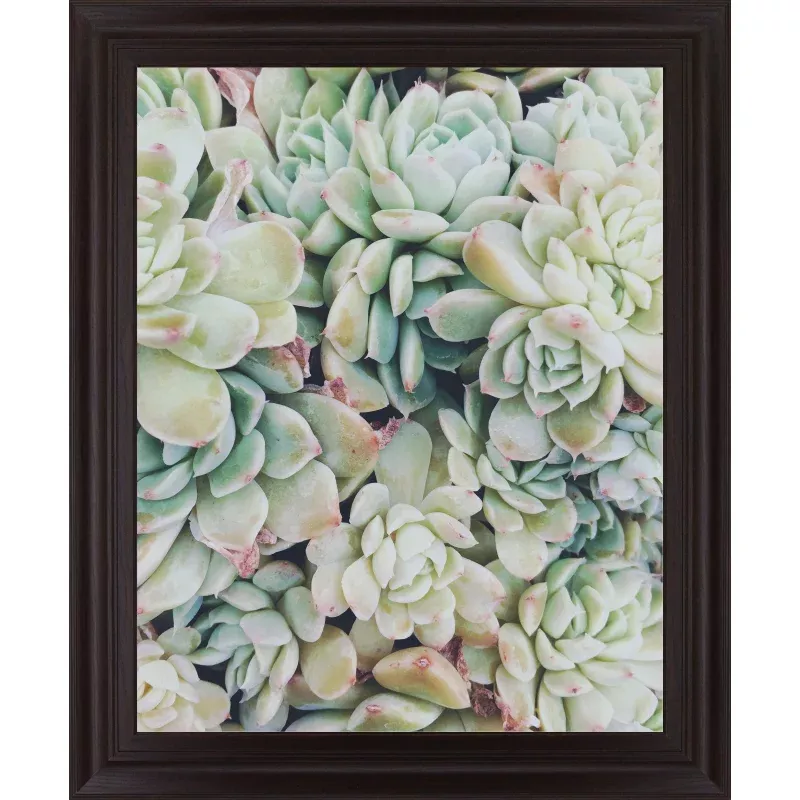 Verdant Rosette Cluster 28 in. x 34 in. Framed Wall Art