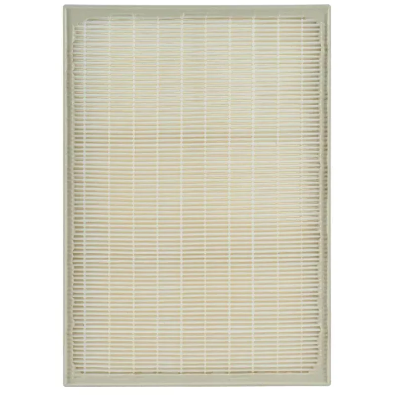 Whirlpool 1183051K Compatible Hepa Filter by Atomic Filters